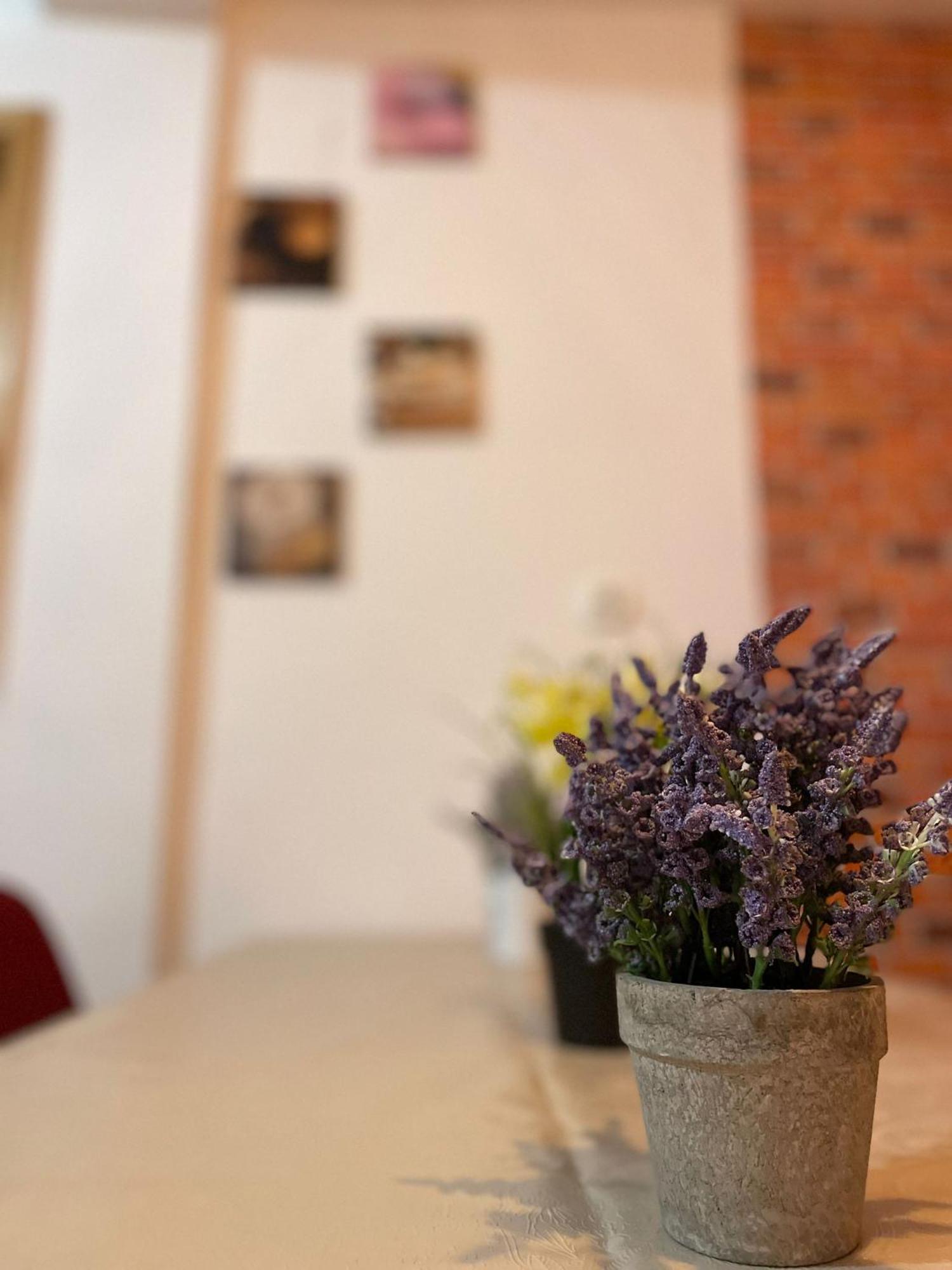Mossapartments Bukares Bagian luar foto